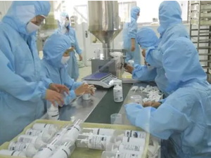 Polvo de Algas Marinas Marrones, Extracto de Algas Laminaria Deshidratadas Solubles en Agua, al por Mayor - Product Image 5