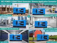 Générateur diesel silencieux Weichai 250 kW 313 kVA à prix abordable, monophasé/triphasé 50/60 Hz pour solution d'alimentation de secours hospitalière