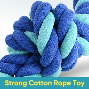 Outdoor Interactive <strong>Spring</strong> <strong>Pole</strong> Exercise Gear with Durable Rope <strong>for</strong> Large <strong>Dogs</strong> Blue Hanging Tug Toy - Product Image 5