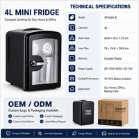 Mini-réfrigérateur thermoélectrique 4L en gros d'usine, refroidisseur personnel portable, petit réfrigérateur de maquillage avec porte transparente