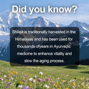 Olli thấp moq tùy chỉnh nhãn hiệu 10,000mg Viên nang shilajit bổ sung với 40% viên nang shilajit axit FULVIC tinh khiết - Product Image 6