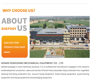 Đặt khoai tây chiên dây chuyền sản xuất khoai tây chiên máy móc chế biến khoai tây chiên tươi Máy làm - Product Image 4