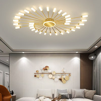 Luminaire de plafond LED en forme de fleur de feu d'artifice en acrylique pour salon, design pop, éclairage pour la maison