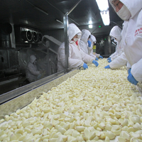 Ail en gousses pelé pour l'exportation, ail fourni aux supermarchés, usine d'ail, prix bas, vente d'ail frais pelé