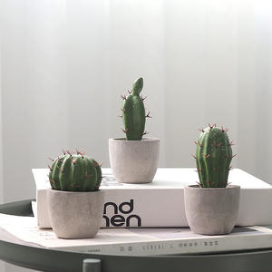 Spedizione gratuita Bonsai simulazione succulenta artificiale Mini <span class=keywords><strong>vaso</strong></span> <span class=keywords><strong>piante</strong></span> carnose finto <span class=keywords><strong>Cactus</strong></span> <span class=keywords><strong>piante</strong></span> grasse decorazione per la casa Hotel - Product Image 3