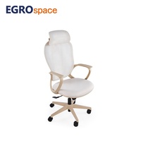 EGROspace Chaise de bureau ergonomique pivotante en maille, moderne, haut de gamme, avec accoudoirs, pour conférence et direction, inclinable