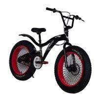 Wheelie Fun Bike: Best Choices for Kids Beginners