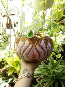 Guscio <span class=keywords><strong>di</strong></span> noce <span class=keywords><strong>di</strong></span> cocco vasi da fiori fioriere-guscio <span class=keywords><strong>di</strong></span> noce <span class=keywords><strong>di</strong></span> cocco/vasi da giardino e fioriera-guscio <span class=keywords><strong>di</strong></span> noce <span class=keywords><strong>di</strong></span> cocco naturale vaso <span class=keywords><strong>di</strong></span> fiori da giardino (84 901396659 Rosie) - Product Image 3