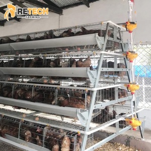 Thiết Bị Trang Trại Nuôi Gia Cầm Trứng Loại A Bán Chạy Nhất Lồng Nuôi Gà Đẻ Trứng - Product Image 6