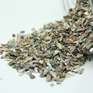 Wholesale Natural Abalone Shell Crushed Chips Paua Seashell Flakes Craft