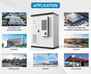 Sistema di Accumulo Energetico Ess da Interno con Batteria Lifepo4 da 60kWh, 6000 Cicli, Inverter Ibrido da 30KW ad Alta Tensione, Prezzo di Fabbrica - Product Image 2