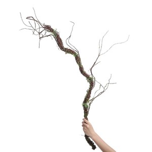 Vignes artificielles effet vieilli Dream Castle, texture imitation écorce d'arbre, décorations paysagères de jardin - Product Image 5