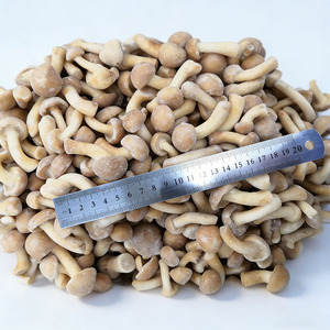 <span class=keywords><strong>Prix</strong></span> de gros IQF Champignons Nameko surgelés en vrac Biologique Sain Naturel 100% Nameko surgelé avec vente directe d'usine - Product Image 6