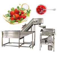 Automatische Mango Passievruchtensap Maken En Verwerken Machine Productielijn Voor Voedsel Industrieel