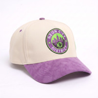 Casquette de baseball Y2K personnalisée OEM ODM, rétro, en daim violet, bicolore, style trucker, brodée, structurée, avec fermeture snapback, pour hommes et femmes