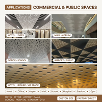 Panneaux de plafond en aluminium perforé décoratifs et artistiques personnalisés avec éclairage LED