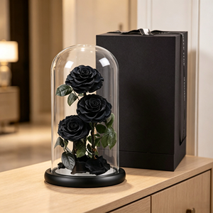 <span class=keywords><strong>Rosa</strong></span> Preservada en Cúpula de Cristal, Caja Cuadrada, Flor Eterna, La <span class=keywords><strong>Bella</strong></span> <span class=keywords><strong>y</strong></span> la <span class=keywords><strong>Bestia</strong></span>, Regalo para Halloween - Product Image 3