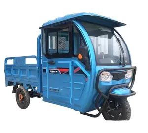 2024 chiuso cabina di guida elettrico 3 ruote elettrico moto furgone tre ruote Cargo triciclo elettrico cargo triciclo 1000w