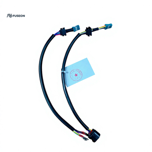Module de fonction automobile, faisceau de câblage court, double branche, connecteur blanc et noir, faisceau de câblage personnalisé OEM 12V 24V - Product Image 1