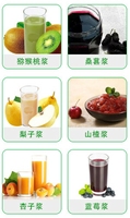 Dragon Juicer Fruitschilzaad Verwijderen Pulping Machine/Vruchtenpulp Sap Maken Machine/Mango Puree Extractor
