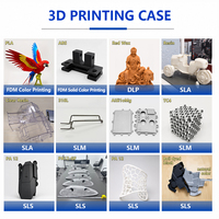 Service d'impression 3D de modèles en résine, nylon PA, PEEK, PEKK, plastique, SLS/SLA/SLM, prototypage rapide, impression 3D