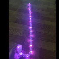 Bastones de Poliéster de 110 cm con Luces LED de Colores Cambiables para Danza del Vientre, Accesorios para Bailarinas, Actuaciones, Fiestas