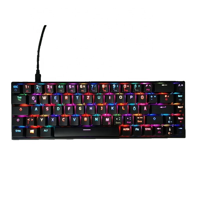 Gaming Mechanical Keyboard Hot Swap ABS Material 68 Keys High Back 7 RGB USB Wired Programmable Keyboard