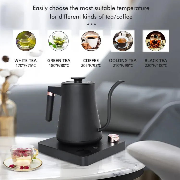 Portable Electric Kettle Stainless Steel Kettle 24 Hour Heat Preservation Large Quotation OEM Intelligent Tempered Coffee Pot