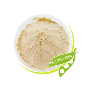 Food Ingredients Organic Pea Protein Isolate 25kg pea protein powder bulk