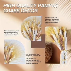 Ramo de Hierbas Secas Mixtas: Pampas, Trigo, <span class=keywords><strong>Avena</strong></span> y Plumas de Conejo <span class=keywords><strong>para</strong></span> Decoración Boho del Hogar y Arreglos Florales de Boda - Product Image 6