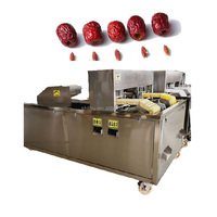Commerciële automatische machine voor het ontpitten van dadelpitten, rode dadelpitten en pruimen.