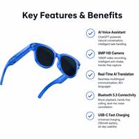 Lunettes Intelligentes OEM avec Caméra Unique, Assistant IA, Traduction en Temps Réel, Vidéo 1080P, Contrôle Tactile, Monture Métallique, Étanchéité IP67, Type-C