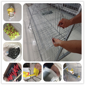 Jaulas Automáticas Galvanizadas para Pollos, Gallineros, Jaulas para Aves de Corral, Equipo de Cría - Product Image 6