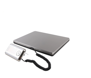 منصة كبيرة من الفولاذ المقاوم للصدأ 200 كجم الشحن الإلكتروني الطرود وزنها على الأرض - Product Image 4