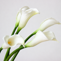 Lys Calla Artificiels en PU Faits Main, Réalistes, pour Accessoires Photo et Décoration de Table/Conférence, Marque Zhiwu, Longue Durée
