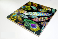Encre UV de qualité supérieure pour imprimantes UV couleur CET avec têtes d'impression Kyocera