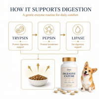 Comprimés d'enzymes pancréatiques pour chiens : Complexe Trypsine, Pepsine, Lipase – 100 unités – Soutien digestif quotidien naturel – Vente en gros