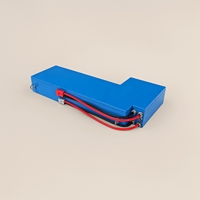 Pack de batteries LiFePO4 24V personnalisé 80Ah, qualité industrielle, batterie de stockage au lithium multi-scénarios