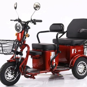 New Small Electric Tricycle Adult and <b>Elderly</b> <b>Walkers</b> Electric Tricycle for Transport Children - Product Image 3