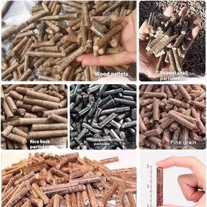 Máquina Peletizadora Automática Mini de Combustible Grande Directa de Fábrica para Alimento Animal, Biomasa, Paja, Aserrín de Madera en Venta - Product Image 4