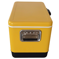 Contenitore Termico in Metallo da 30L/40L/50L, Pratico Frigorifero Portatile per Pesca