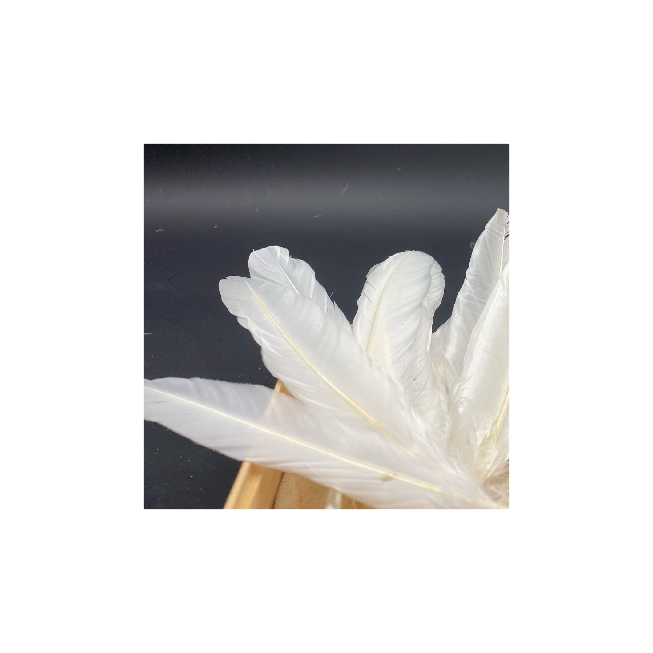 Экспортируется во многие страны в стране и за рубежом с хорошей репутацией Мытые перьевые утки для продажи воланов