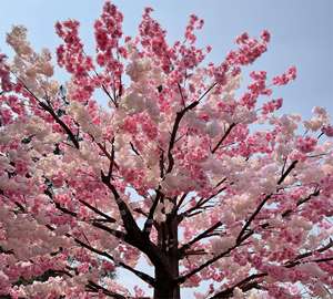 Arbre à fleurs de cerisier artificiel de 250 cm, fait main, très vendu, en PU, écologique, résistant aux UV, <span class=keywords><strong>d</strong></span>écoration intérieure pour <span class=keywords><strong>chambre</strong></span> à coucher - Product Image 3