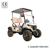 Carrito de Golf Eléctrico Tarion para 2 Personas, 60V, 90km de Autonomía, 35km/h, para Hoteles, Resorts, Estadios, Patrullaje Comunitario y Todoterreno