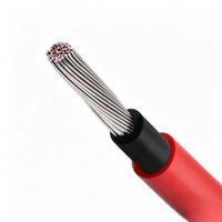 En stock : Câble photovoltaïque H1Z2Z2-1*4 mm² avec conducteur en cuivre étamé, durable et adapté au câblage photovoltaïque extérieur