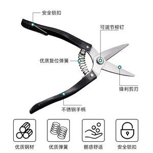 Sécatrices Guanglong Works en acier inoxydable à tête droite, lame de 50 mm, outils de jardin - Product Image 2
