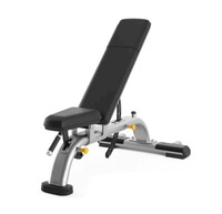 ASM-B4052 Banc de musculation professionnel inclinable de qualité commerciale pour l'entraînement de force des professionnels