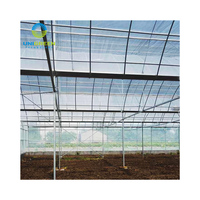Zng — serre d'usine en plastique à sommet rond, plantation de légumes utilisé en chine, à plusieurs espaces avec systèmes hydroponiques