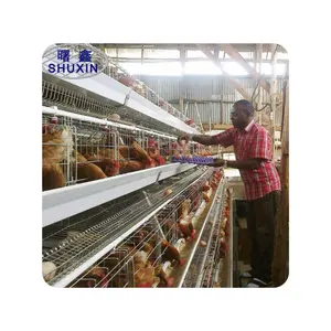 Egg Laying Hens Farming Chicken Layer Cage For Sale