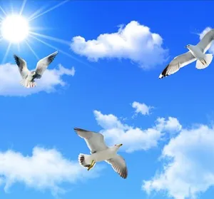 K107437 Guangzhou Ihouse <strong>3D</strong> Landscape Blue <strong>Sky</strong> with Bird Ceiling Mural Wall Paper - Product Image 1